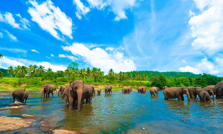 Sri Lanka